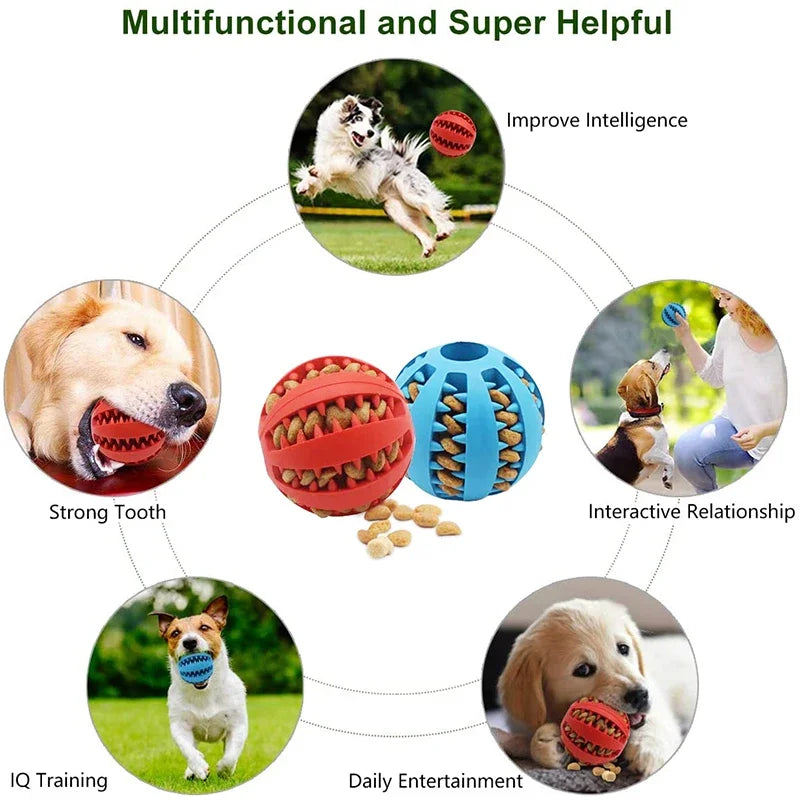 Dog Ball Toys para cães pequenos Interactive Elasticity Puppy Chew Toy Tooth Cleaning Borracha Food Ball Toy Pet Stuff Acessórios