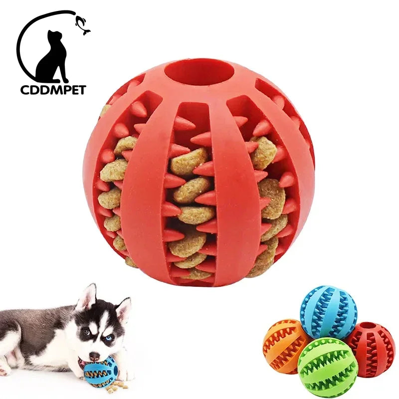 Dog Ball Toys para cães pequenos Interactive Elasticity Puppy Chew Toy Tooth Cleaning Borracha Food Ball Toy Pet Stuff Acessórios